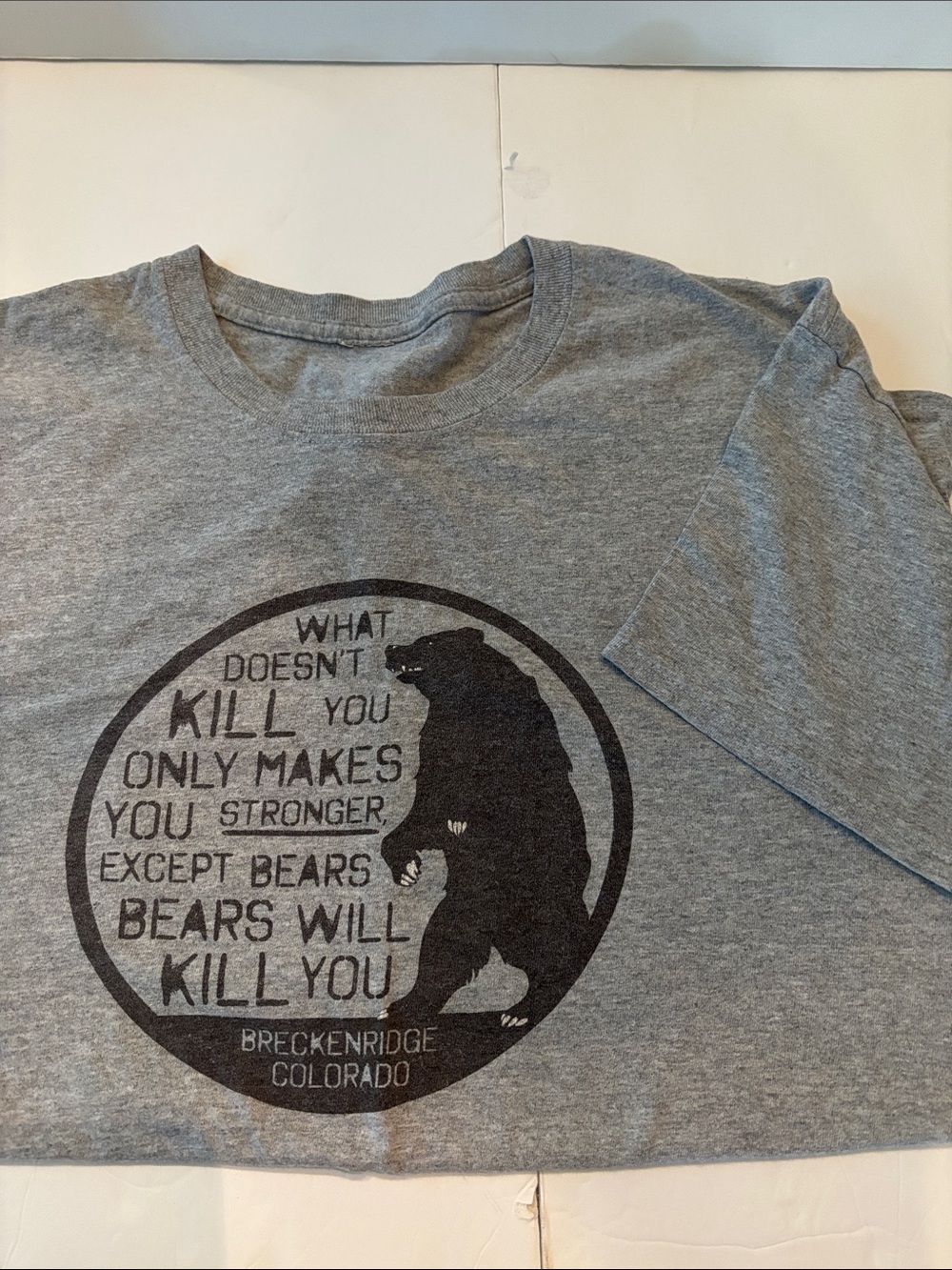 Breckenridge Colorado Grey Short Sleeve Graphic Tee - Bear Print
